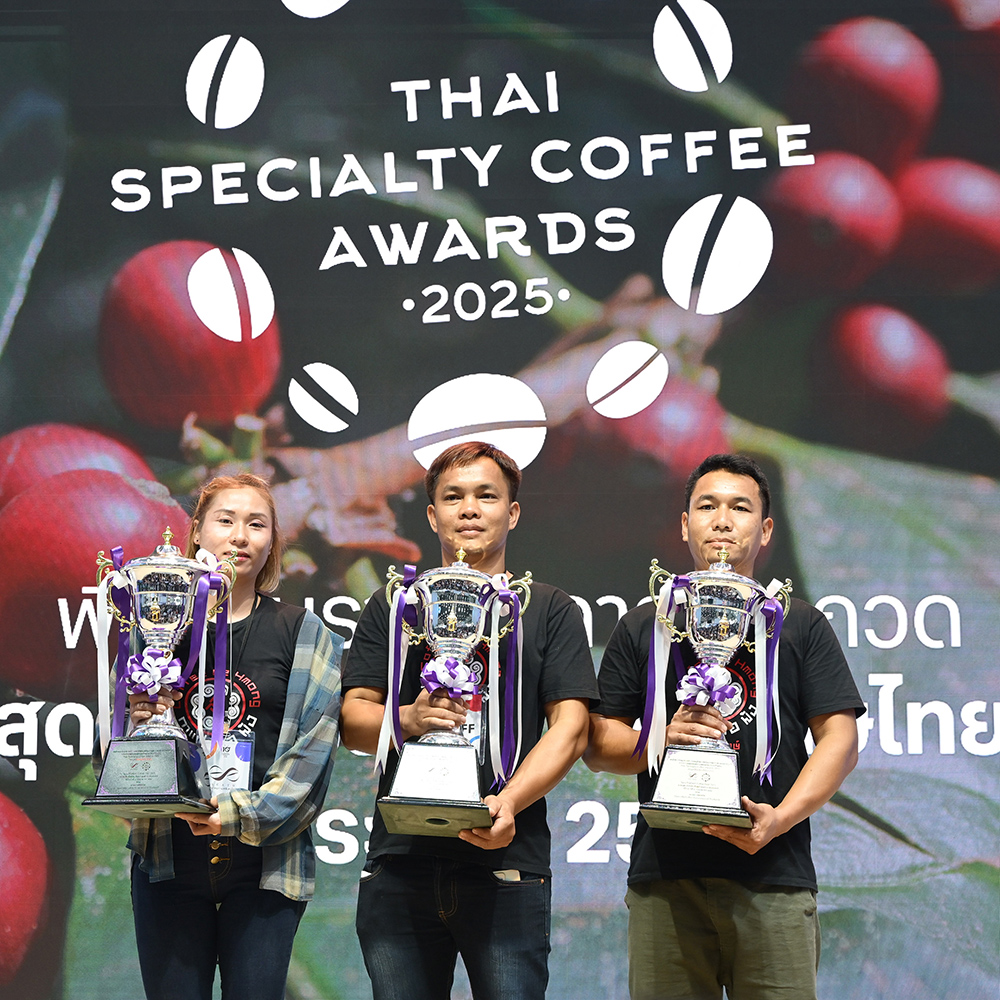 Awards & Recognition